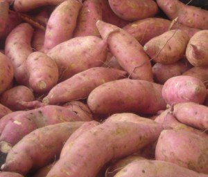 sweetpotato